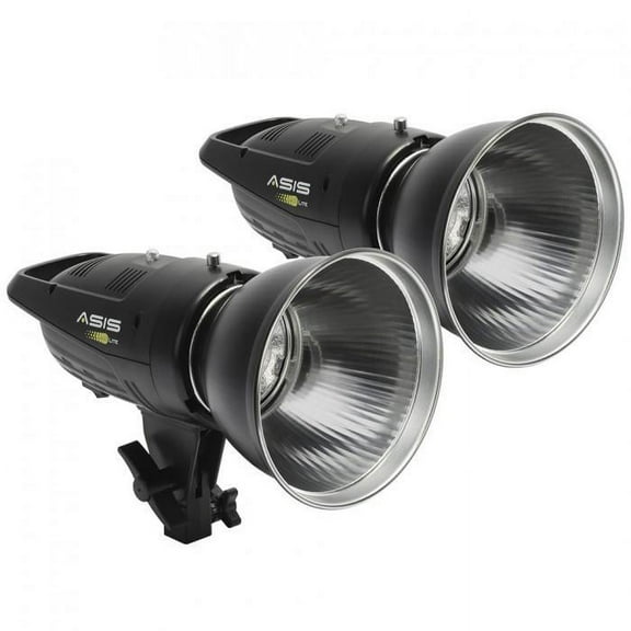 Asis 400 Lite 2-Head Monolight Kit