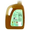 arizona-green-tea-with-ginseng-and-honey-natural-antioxidants-no