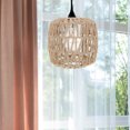 thumbnail image 2 of MasteelfCA Creative Ceiling Lamp Light Cover Lamp Shade Unique Lamp Accessories for Home, 2 of 7