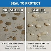 Miracle Sealants PLUSPT6 511 Porous Plus Penetrating Sealers, Pint, Clear