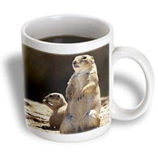 3dRose Black-tailed Prairie dog wildlife, Arizona - US03 JME0034 - John and Lisa Merrill, Ceramic Mug, 11-ounce