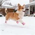 thumbnail image 5 of All Weather Protective Dog Boots with Sliding Soles for Outdoor Walking Hiking and Running Adventures, 5 of 5