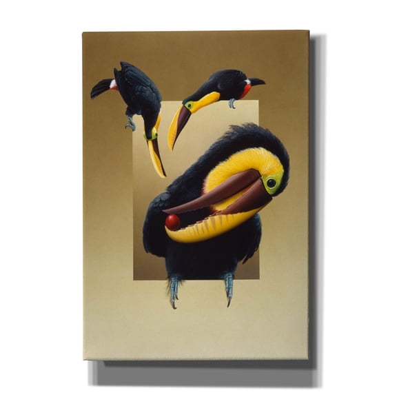 Epic Graffiti 'Chestnut-Mandibled Toucans' by Harro Maass, Canvas Wall Art, 18"x26"