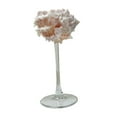 thumbnail image 3 of Copa de champán con forma de caracola, regalo de Navidad, copas de Martini únicas para adultos D, 3 of 9