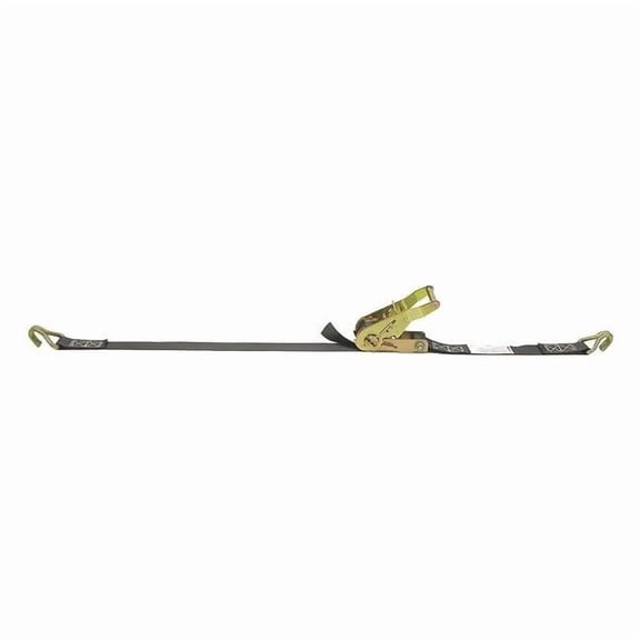 Lift-All RATCHET ASSY W/ COATED S-HOOK, 1" x 12FT 9004016