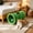 Green, variant on Two-Way Cat Tunnel with Crinkle Interior, Collapsible Foldable Pet Activity Tunnel for Indoor Cats, 19.69 inch Long Interactive Toy with Dual Entrances