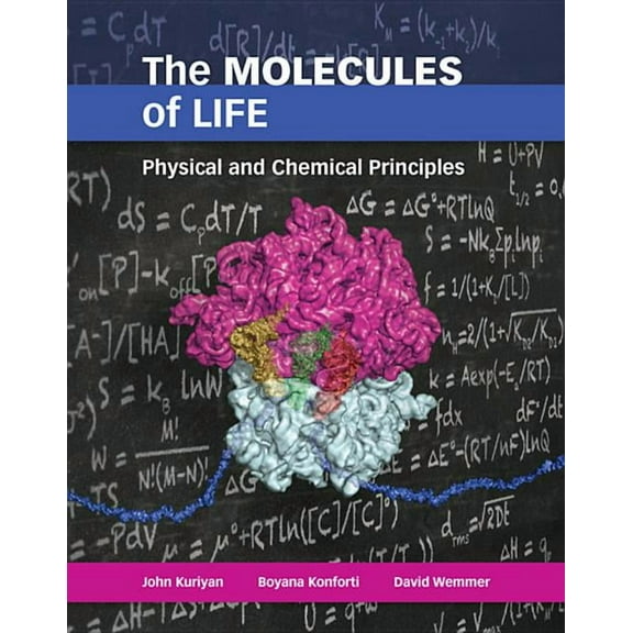 The Molecules of Life (Paperback)