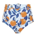 thumbnail image 4 of Panache High Waist Belted Swim Brief (SW1845),18-2XL,Sicily Print, 4 of 5