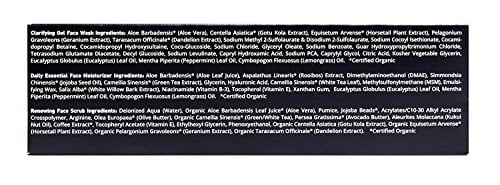 brickell men's daily advanced face care routine i