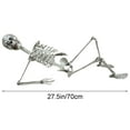 thumbnail image 2 of YYV 170cm Halloween Skeleton Prop Human Full Size Skull Hand Life Body Anatomy Model Decor, 2 of 6