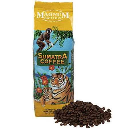 Sumatra Mandheling Coffee Blend, Whole Bean - Dark Roast, Fresh Strong Arabica Coffee - Strong And Rich Flavor - Magnum Exotics, 1 Lb