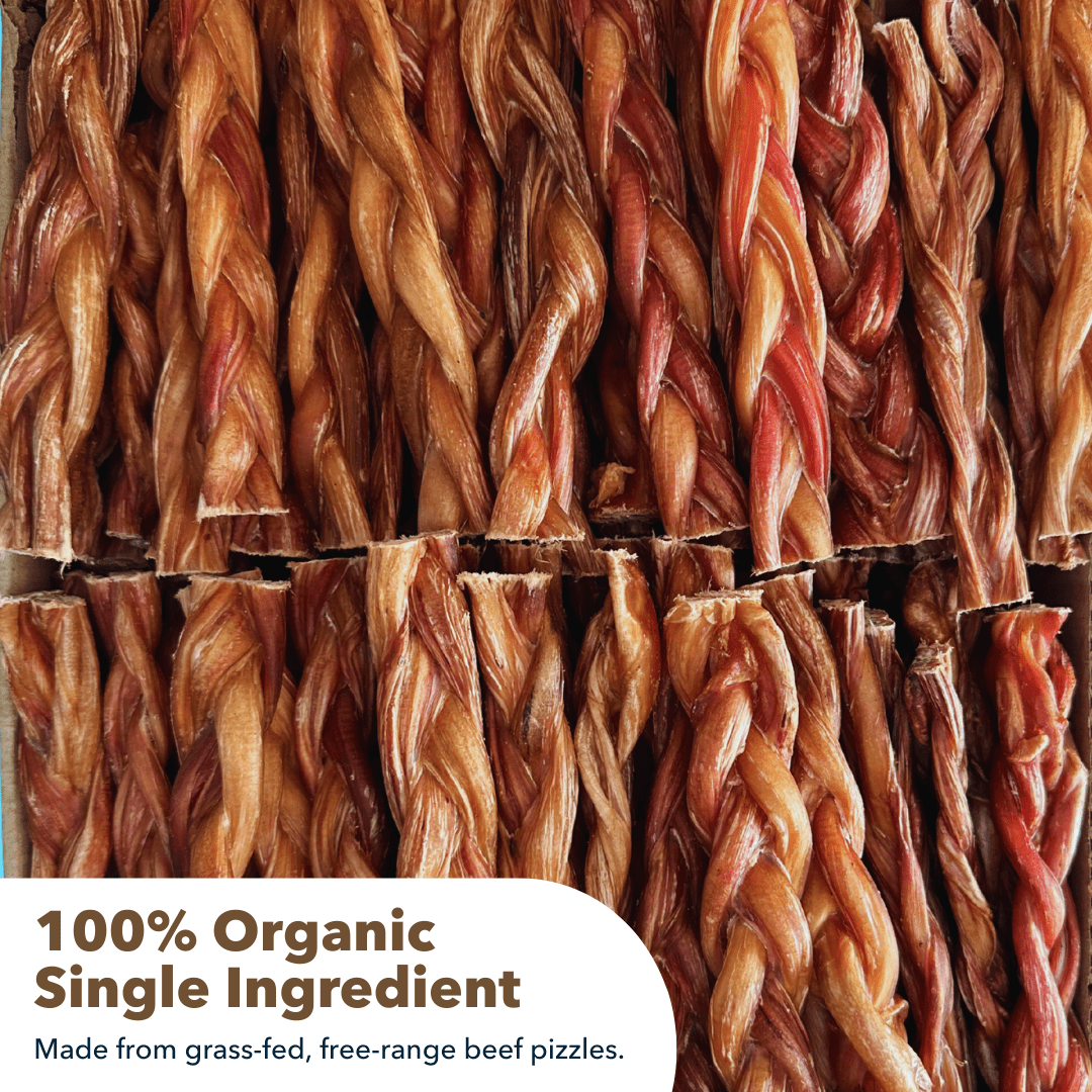 6" Braided Standard Bully Sticks