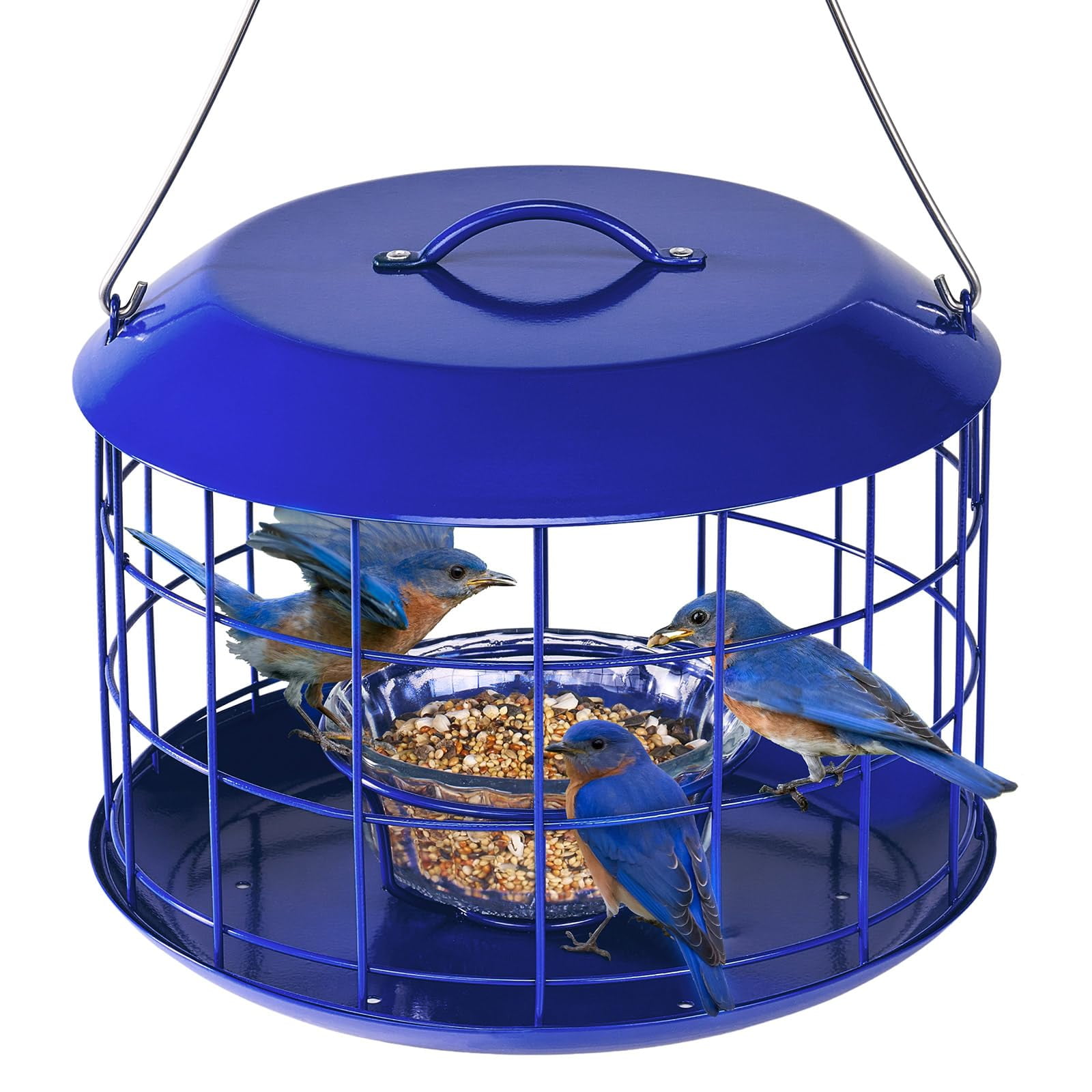 Bluebird Feeders for Outdoors Hanging, All Metal, Cage Mealworm Bird Feeder with Tray, Squirrel Proof & Weatherproof, Easy to Refill & Clean