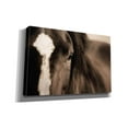 thumbnail image 2 of Epic Graffiti 'Dark Eyes' by Lisa Dearing, Giclee Canvas Wall Art, 60"x40", 2 of 8