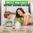 thumbnail image 6 of Fungus Gnat Traps - 60 Pack, Highly Effective Gnat Traps for House Indoor, Yellow Sticky Trap for Plants, Non-Toxic & Nature-Friendly, Up to 3 Months, 6 of 7