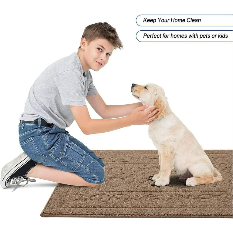 Linka Home Durable Indoor Doormat Entrance 272Ax 197A - Super Absorbent Rugs for Entryway - Soft and Washable Rug Indoor Non SLI