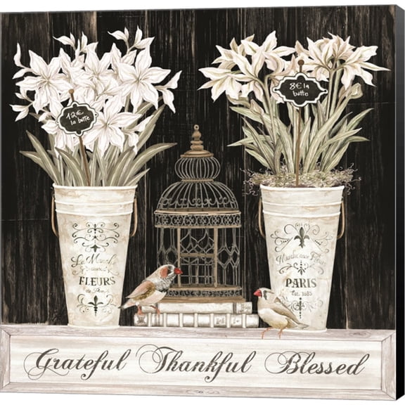 Great Art Now Grateful Thankful Blessed Still Life by Cindy Jacobs, Canvas Wall Art, 24W x 24H