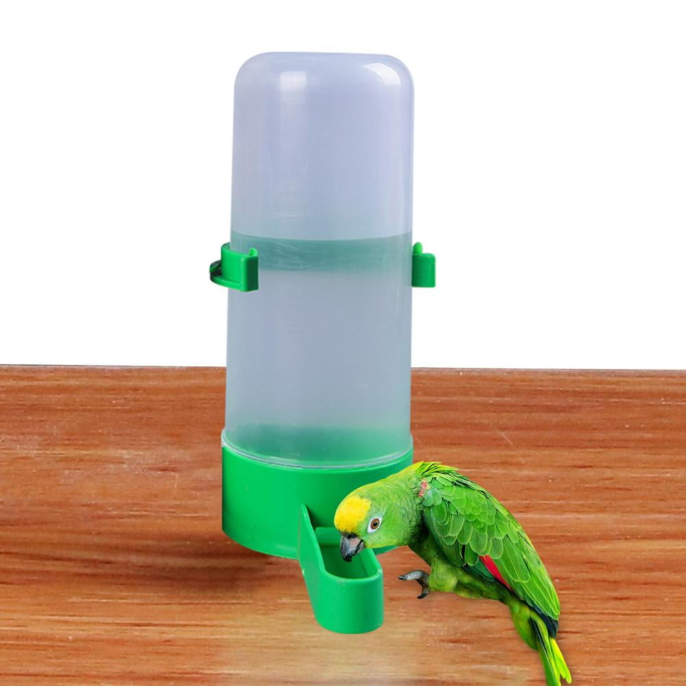 automatic bird feeder for parakeets