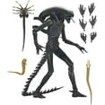 thumbnail image 2 of Alien Romulus 7 Inch Action Figure Ultimate - Xenomorph XX121, 2 of 2