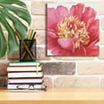 thumbnail image 6 of Epic Graffiti 'Pink Garden V' by Lisa Audit, Canvas Wall Art, 12"x12", 6 of 8