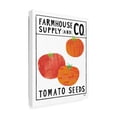thumbnail image 2 of Melissa Averinos 'Kitchen Garden Seed Packet III' Canvas Art, 2 of 3