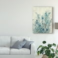 thumbnail image 3 of Trademark Fine Art 'Blue Spring II' Canvas Art by Tim OToole, 3 of 4