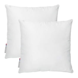 18 ×18 Pillow Insert (Pack of 2) Memory Foam Throw Pillow hot Insert