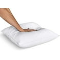 Utopia Bedding Throw Pillows Insert (Pack of 2, White) 22 x 22 Inches