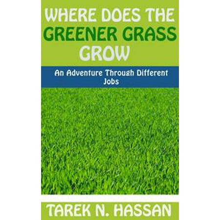 Where Does the Greener Grass Grow: An Adventure Through Different Jobs -