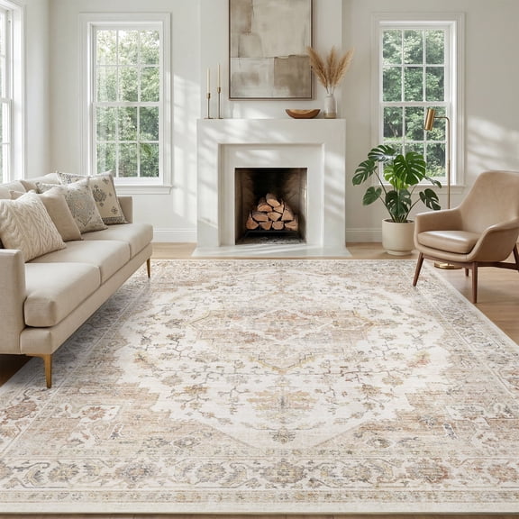 FEELHOME 5'x7' Area Rug Machine Washable Soft Vintage Distressed Non Slip Carpet for Living Room Bedroom Dining Room Taupe