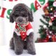 thumbnail image 3 of Abrigo para perro, sudadera con capucha para perro y gato, disfraz navideño para perros pequeños, 3 of 6