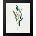thumbnail image 2 of Purinton, Julia 12x14 Black Modern Framed Museum Art Print Titled - Botanical Study I Greenery, 2 of 5