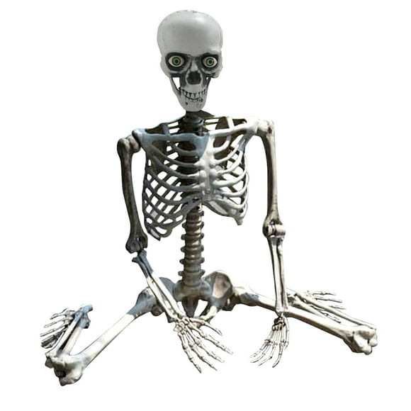 jovati Vie Taille Squelette Décoration Halloween Squelette Prop Humain Pleine Grandeur Crâne Main Corps Anatomie Modèle Décor Pleine Grandeur Squelette Décoration Halloween
