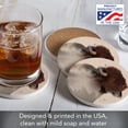 thumbnail image 2 of Thirstystone Buffalo Scene 4-Pack Round Absorbent Stone Coasters, 2 of 7
