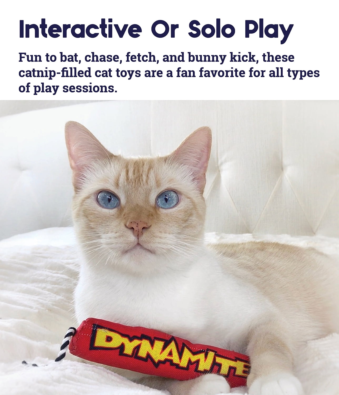 dynamite cat toy