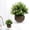 D, variant on 1 Pcs Fake Plants Small Artificial Faux Plants With Hemispherical Pulp Bonsai for Shelf Mini Plastic Potted Greenery for Home Office Desk Bathroom Bedroom Indoor Decor(Green)
