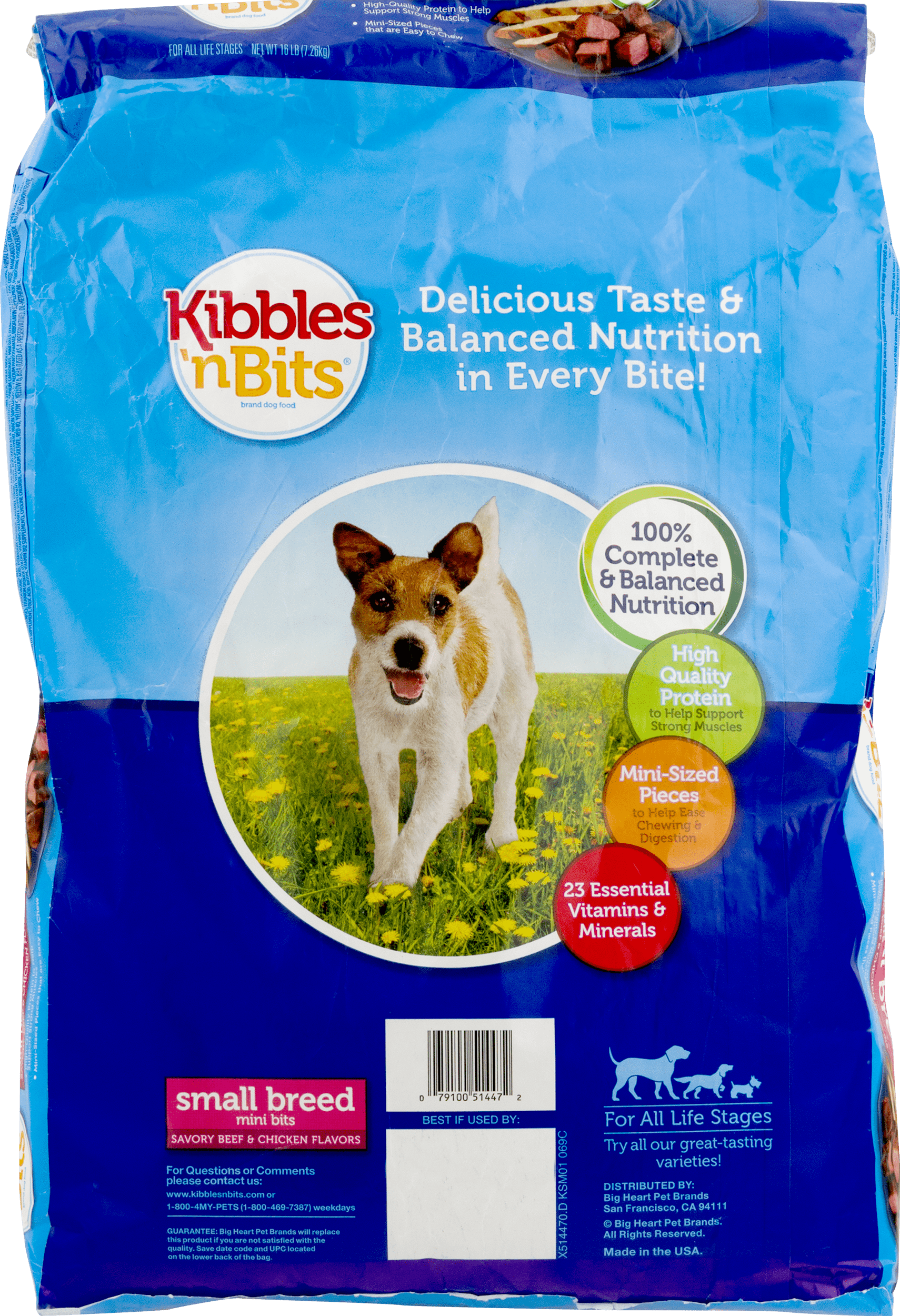 How Much Food Should A Pound Dog Eat How Much Food Should A Pound Dog Eat