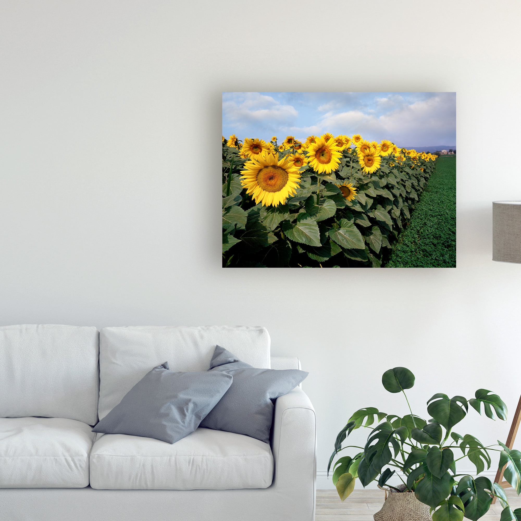 Monte Nagler 'Sunflowers Sentinels Rome Italy Color' Canvas Art