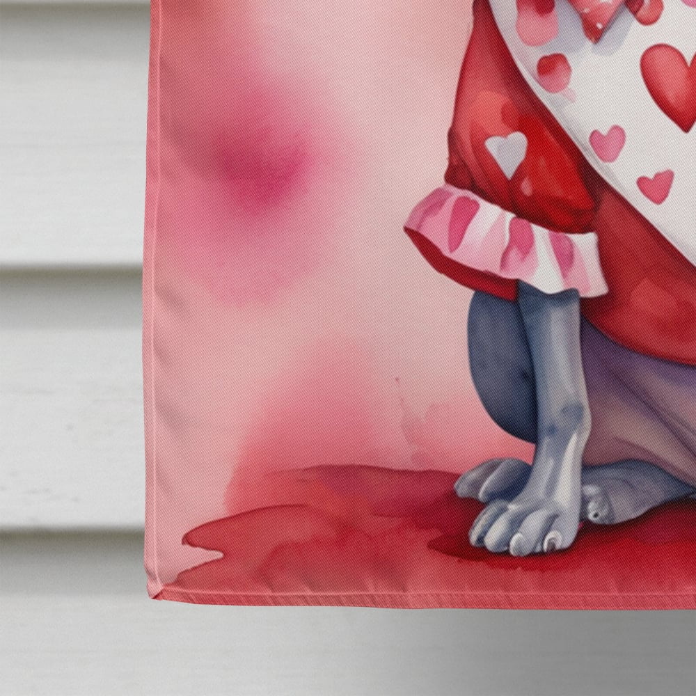 American Hairless Terrier My Valentine House Flag 28 in x 40 in