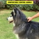 thumbnail image 3 of Collar táctico para perro con asa de control, militar K9 Collar para perro acolchado ajustable para entrenamiento de perros medianos (XL) JAMW Sencillez, 3 of 5