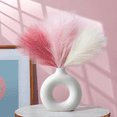 thumbnail image 2 of Pampas Secas Rosa Blanco 6psc Plantas Decorativas Pampas Decorativas Flores Artificiales Ramos de Flores Xtellar blanco, 2 of 3