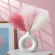 thumbnail image 2 of Pampas Secas Rosa Blanco 6psc Plantas Decorativas Pampas Decorativas Flores Artificiales Ramos de Flores Xtellar blanco, 2 of 3