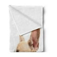 thumbnail image 2 of Bulldog Soft Flannel Fleece Throw Blanket, Side View of a French Bulldog with the Tongue out on a Plain Backdrop, Cozy Plush for Indoor and Outdoor Use, 50" x 60", White and Multicolor, by Ambesonne, 2 of 5
