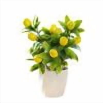 B/Yellow