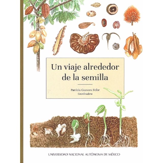 Un viaje alrededor de la semilla