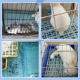 thumbnail image 7 of Hamiledyi 4 Pcs Rabbit Feet Pad Plastic Bunny Cage Floor Mat Foot Resting Hole Leak Water Nest Mat for Small Animal Hamster Rat Chinchilla Guinea Pig ,13.4"×9.8",Blue, 7 of 7