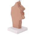 thumbnail image 2 of Nasal Cavity Throat Anatomy Model Human Anatomical Pharynx Larynx Model for Students Study Display Teaching,1 * Nasal Cavity Throat Anatomy Model,As shown, 2 of 8