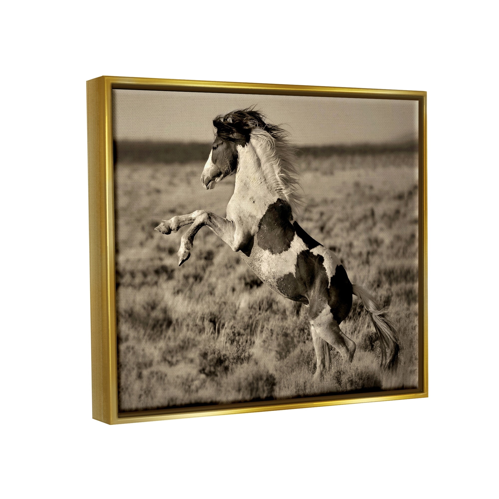 Stupell Industries Rearing Spotted Horse Rural Countryside Field Photography Photograph Metallic Gold Floating Framed Canvas Print Wall Art, Design by Lisa Dearing