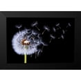 thumbnail image 2 of Hamiti, Bess 14x11 Black Modern Framed Museum Art Print Titled - Dandelion Blowing, 2 of 5