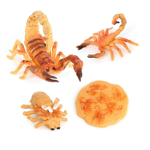 1 Set Life Cycle Toy Household Simple Simulation Model Educational Toys Exquisite Interesting Scorpion Models for Home School Black Red